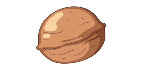 Whole Walnut Nut Vector Illustration Isolated On White Background.
