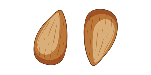Two Whole Almond Nuts Without Shell. Cartoon Style Vector On White Background.