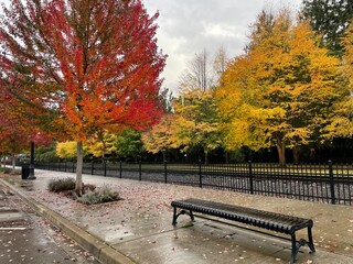 Bench in Fall