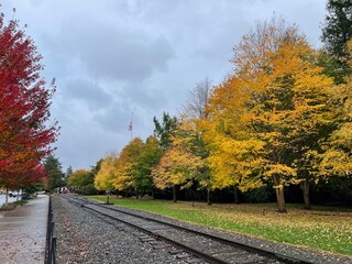 train track in fall / autumn