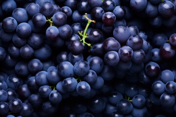 Flat lay background of vines, lots of organic blue dark grapes.