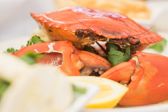 cooked mudcrab