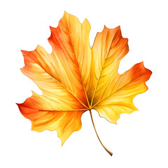 나뭇잎 일러스트레이션