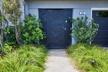 Driveway exterior straight on with gate and lined with green plants in San Francisco, USA