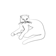 Cat, continuous line drawing, a pet small tattoo, print for clothes, silhouette one single line on white background, isolated vector illustration.