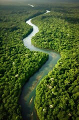 Aerial view of the Amazonas jungle landscape with river bend.