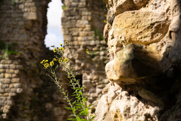 a view of the ruins of Thirlwall Castle on Hadrian's Wall Path,  near Greenhead, Northumberland, UK