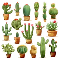 Foto auf Acrylglas Kaktus im Topf The Cactus set on white background. Clipart illustrations.