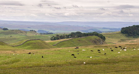 looking across craggy hills along Hadrian's Wall Path near Housesteads, Northumberland, UK