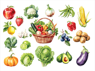 Watercolor painted collection of vegetables. Hand drawn fresh food design elements isolated on white background.