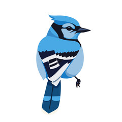 blue jay icon vector detailed