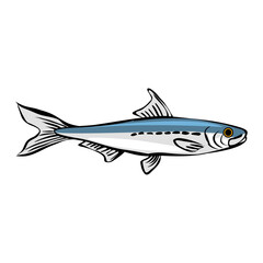 Sardine