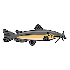 Catfish Illustration