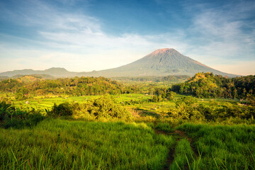 Nature landscape tropical island Bali with scenery rice field and active volcano Bali Indonesia