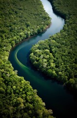 Aerial view of the Amazonas jungle landscape with river bend.