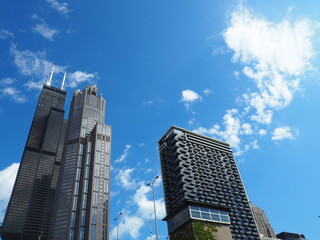 Fototapeta premium Chicago Skyline