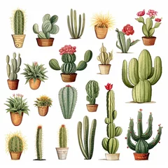 Raamstickers Cactus The Cactus set on white background. Clipart illustrations.