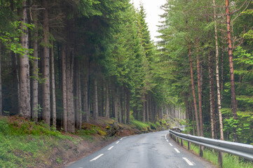 Winding road with crash barriers in the misty forest.