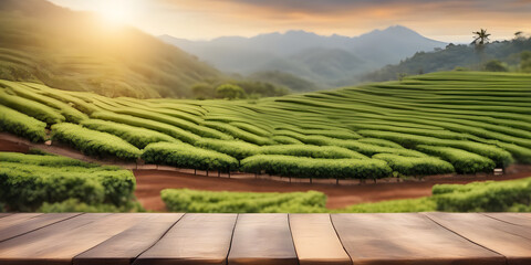 Empty wooden table blurred Coffee plantation on the mountain. Beautiful light in the morning background.