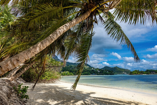 Beautiful tropical  beach Seychelles, Mahe island.