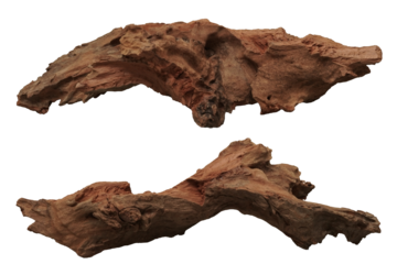 Driftwoods dicut for creative editor