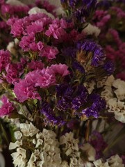 Obraz premium Close-up of pink and purple dried flowers