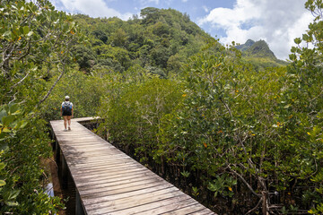 Fototapeta na wymiar Back view. Tourists walking on a wooden bridge above mountain river , A hiker female walks along a tropical nature trail with a wooden boardwalk overlooking wetlands. Travel and exploration.