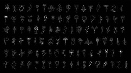 Big Abstract Set Doodle Elements Hand Drawn Collection Botanic Herbal Flora Leaf Branch Vine Flower Plant Elements F Vector Desgin Style