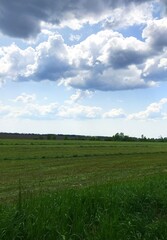 Nature landscapes of Europe. Rural area - fields, roads, meadows, forests, beautiful pictures of nature