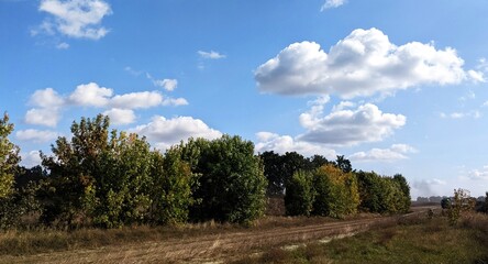 Nature landscapes of Europe. Rural area - fields, roads, meadows, forests, beautiful pictures of nature
