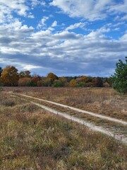 road in the countryside