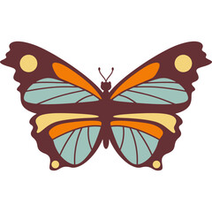 Colorful Butterfly Illustration
