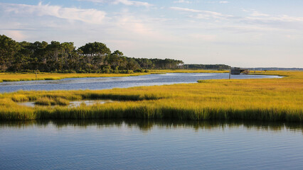 the wetland in Chincoteague National Wildlife Refuge, Assateague Island National Seashore, Chincoteague, Virginia