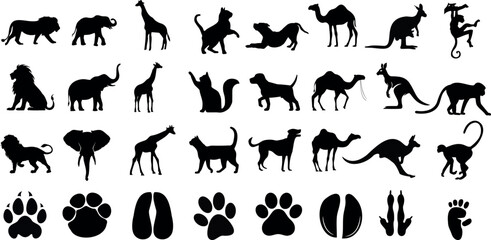  animal silhouettes Vector illustration collection, white background. Features lion, giraffe, dog, camel, elephant, cat, and more. Perfect for wildlife, zoo, safari, and jungle themes.