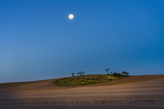A full moon rising in a clear blue sky over a small rocky patch in a ploughed paddock