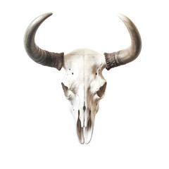 Bull skull isolated on white. Cowboy Native American