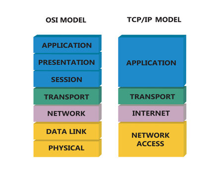 OSI and TCP model. vector