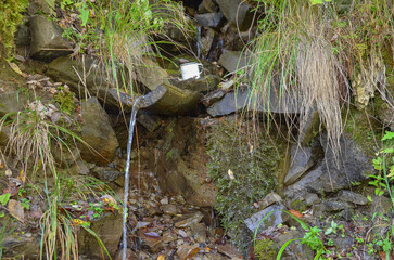 water flowing in the forest