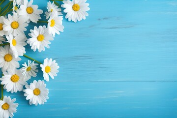 Daisy border on blue wood.