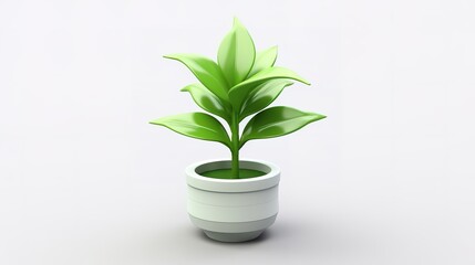 3d render illustration of  plant in a pot