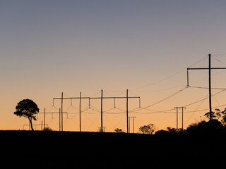 Telegraph poles and wires silhouetted against early morning light