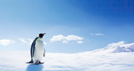Penguin standing in Antarctica looking into the blue sky.