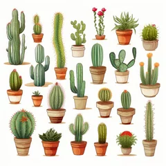 Fototapete Kaktus im Topf The Cactus set on white background. Clipart illustrations.
