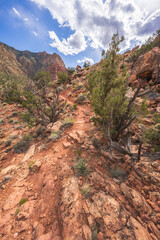 hiking the tanner trail in grand canyon national park, arizona, usa