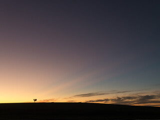 Large sky after sunset with sun's rays and a lone tree