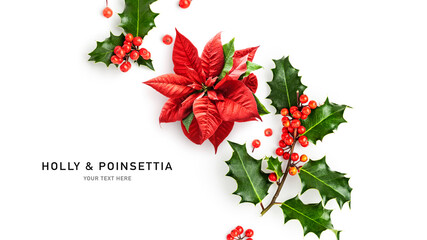 Christmas poinsettia and holly red berries isolated on white background  .