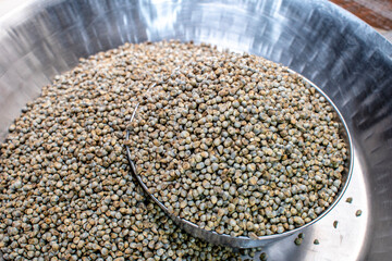 Bajra (Pearl millet), Millet are a group a small, round whole grains grown in India