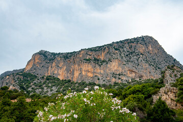 Fototapeta na wymiar National Park of Gulf of Orosei and Gennargentu - Sardinia - Italy