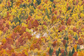 Autunno all'oasi Zegna