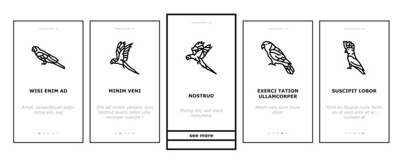 parrot bird blue animal tropical onboarding mobile vector. macaw blue, yellow wildlife, nature feather, red bright, wing wild, ara parrot bird blue animal tropical Illustrations © vectorwin